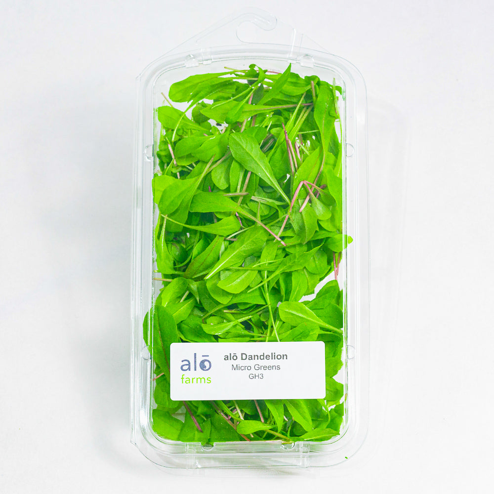 Dandelion Red Microgreen .75 oz