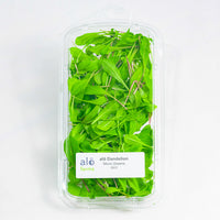 Thumbnail for Dandelion Red Microgreen .75 oz