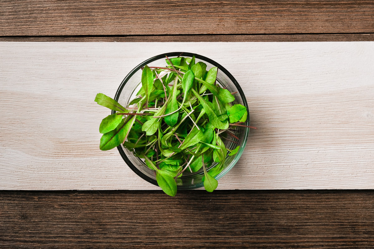 Dandelion Red Microgreen .75 oz