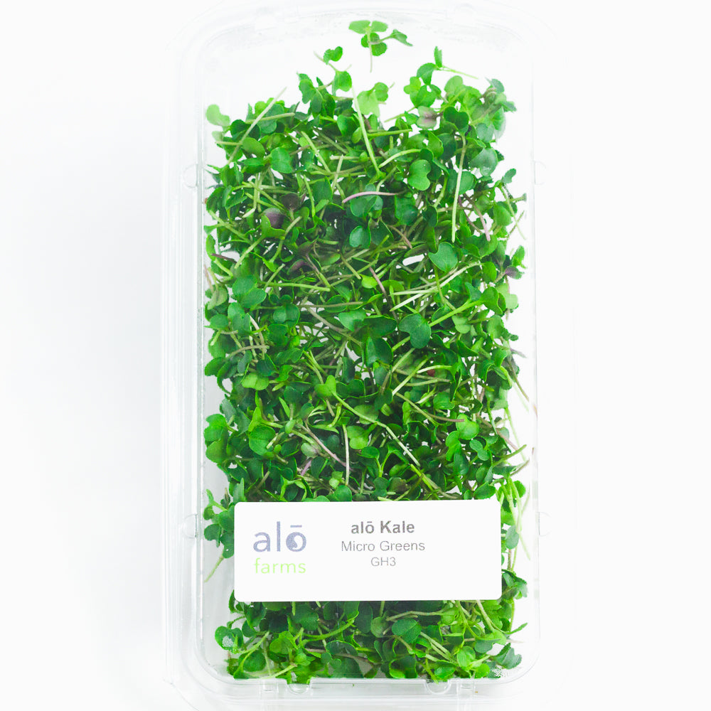 Kale Microgreen - 1oz