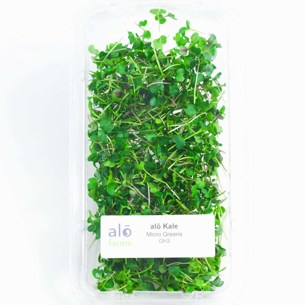 Kale Microgreen .75 oz