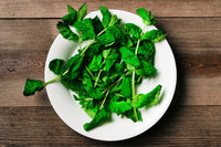 Mint - 1oz