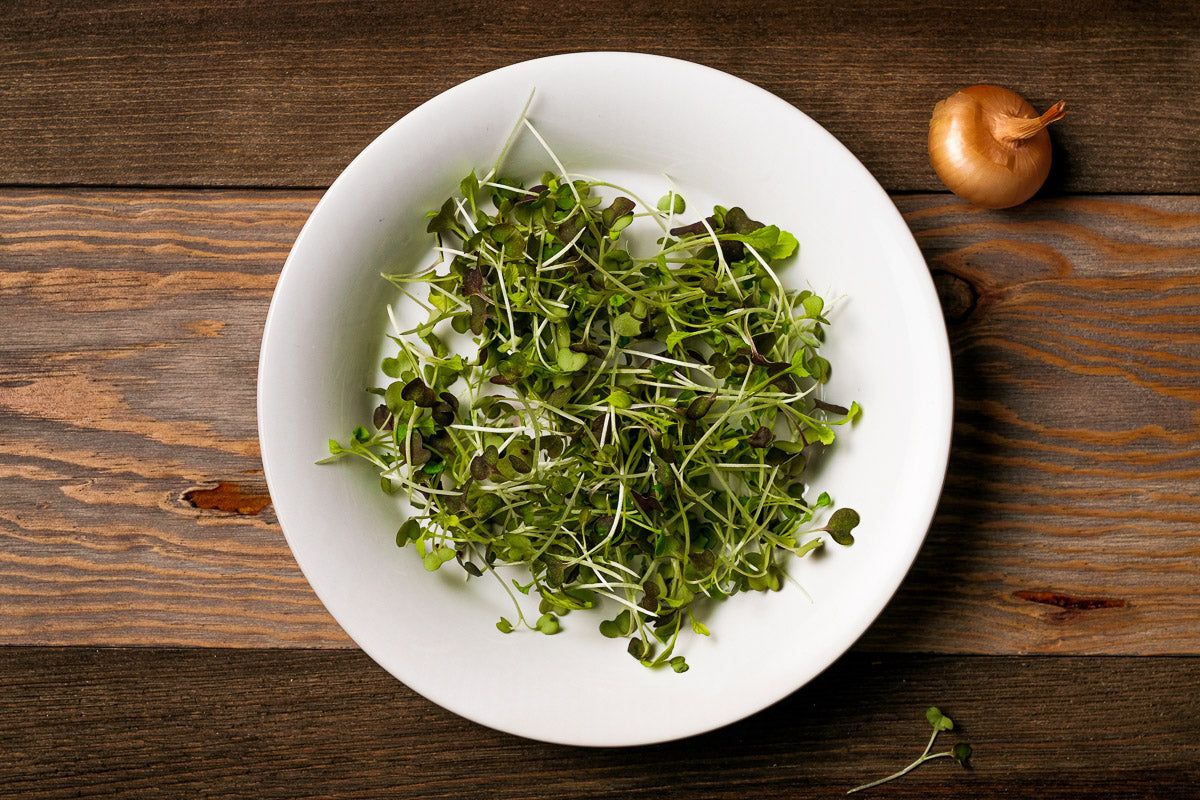 Mustard Microgreen .75 oz