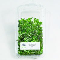 Thumbnail for Mustard Microgreen .75 oz