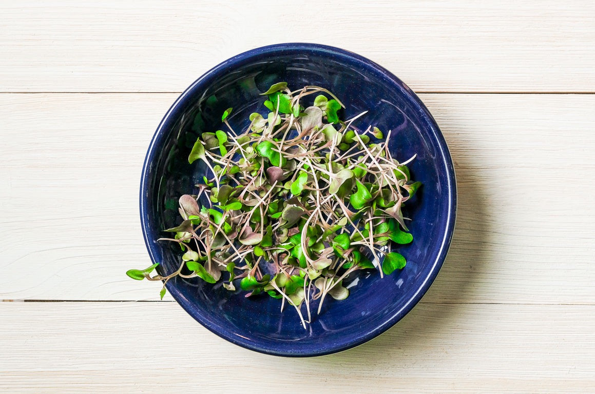 Radish Microgreen .75 oz