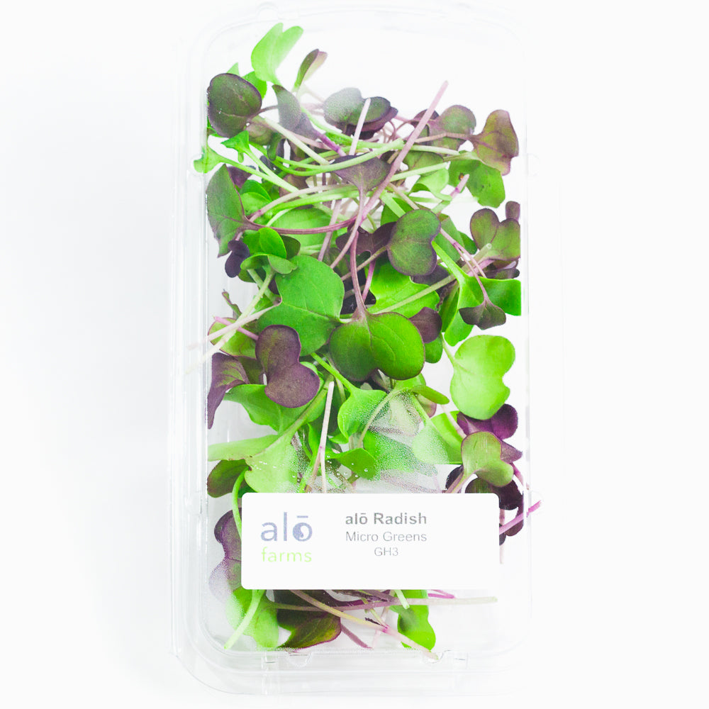 Radish Microgreen .75 oz