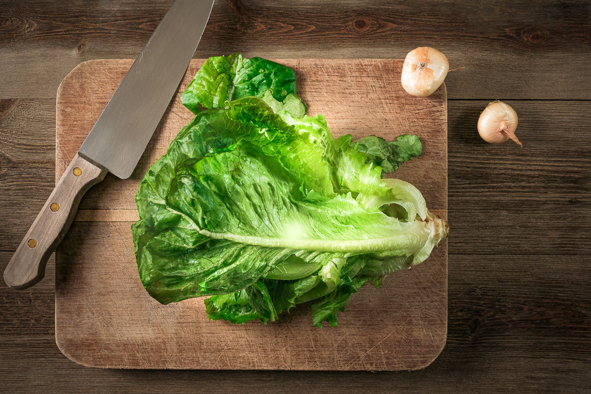 Romaine Lettuce Green 6lb Case