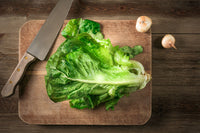 Romaine Lettuce Green 6lb Case