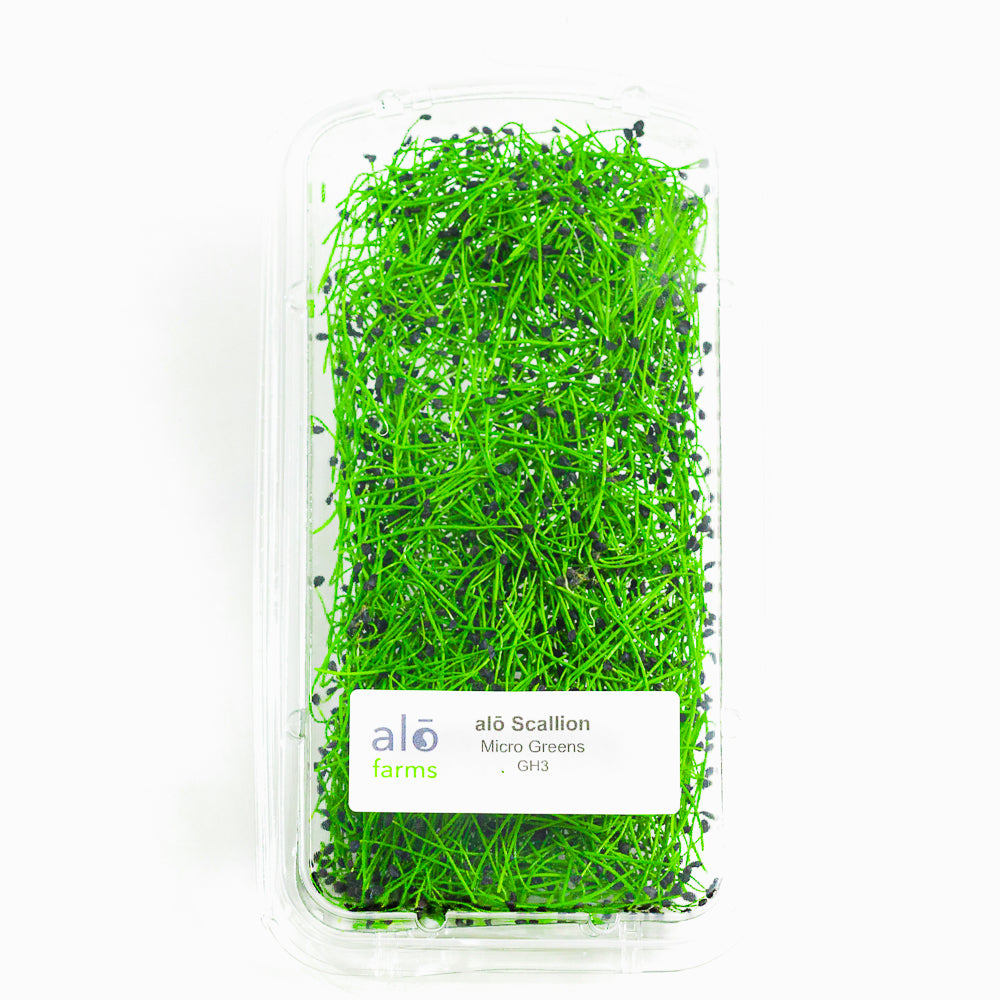 Scallion Microgreen .75 oz