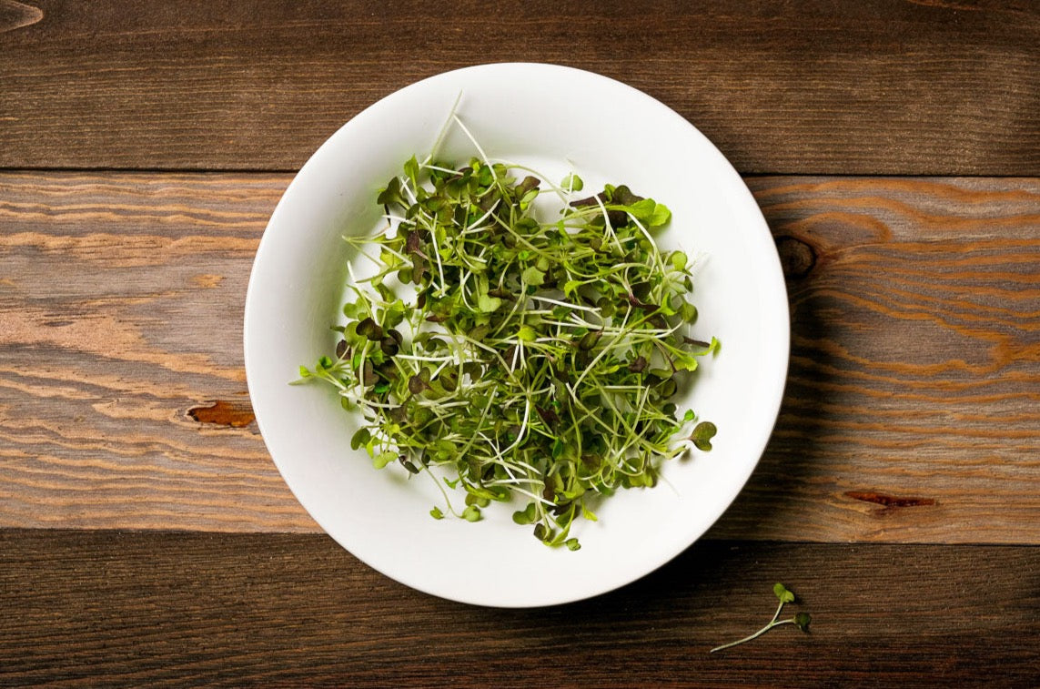 Mustard Microgreen .75 oz